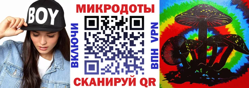 где купить наркоту  Лермонтов  Галлюциногенные грибы Magic Shrooms 